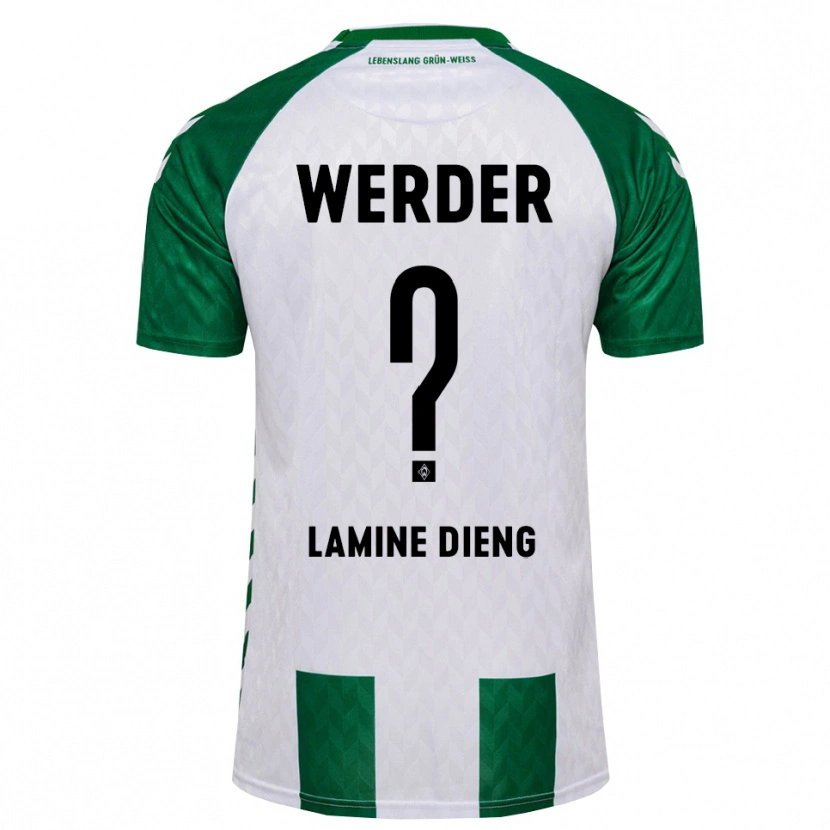Danxen Damen Mamadou Lamine Dieng #0 Grün Weiß Heimtrikot Trikot 2026/27 T-Shirt Österreich