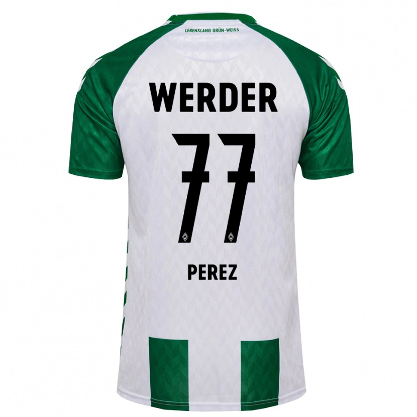Danxen Damen Catalina Pérez Jaramillo #77 Grün Weiß Heimtrikot Trikot 2026/27 T-Shirt Österreich
