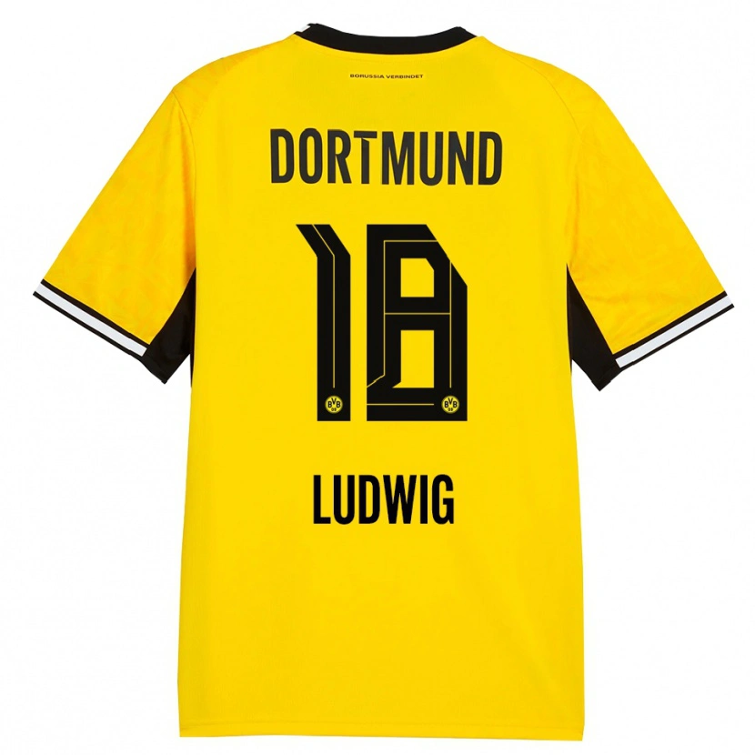Danxen Herren Michel Ludwig #18 Gelb Schwarz Weiß Heimtrikot Trikot 2026/27 T-Shirt Österreich