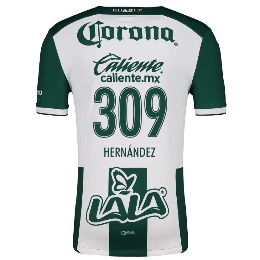 Danxen Kinder Julio Hernández #309 Grün Weiß Heimtrikot Trikot 2024/25 T-Shirt Österreich