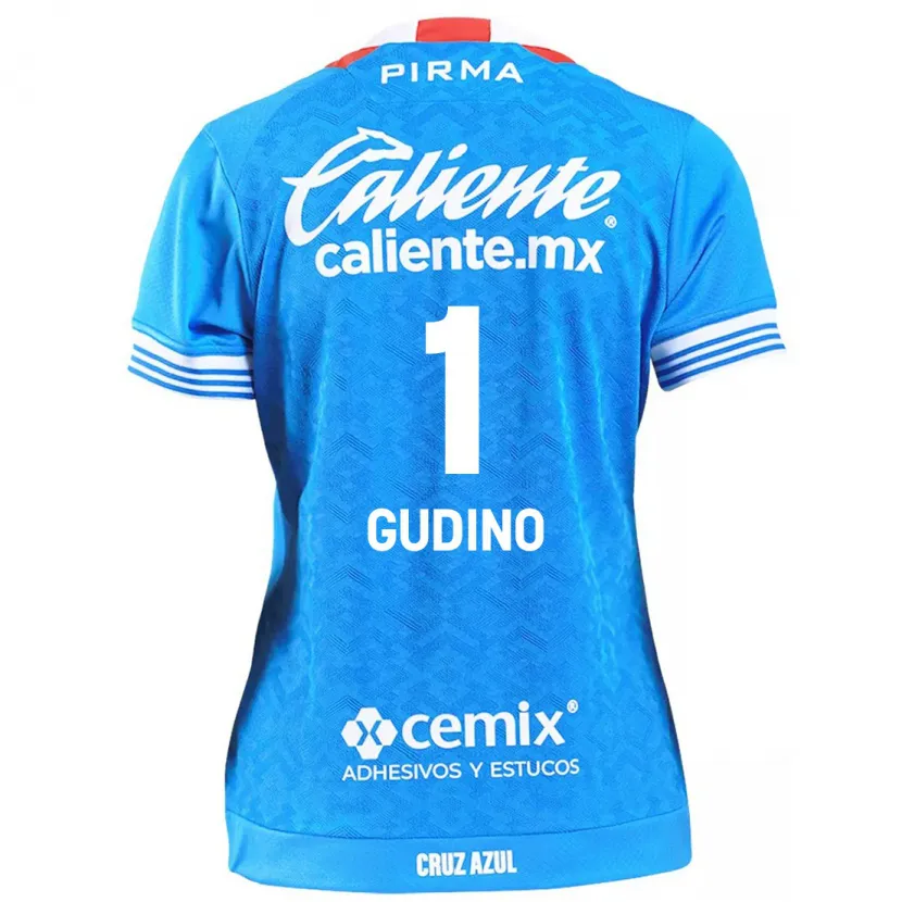 Danxen Herren Andrés Gudiño #1 Himmelblau Heimtrikot Trikot 2024/25 T-Shirt Österreich