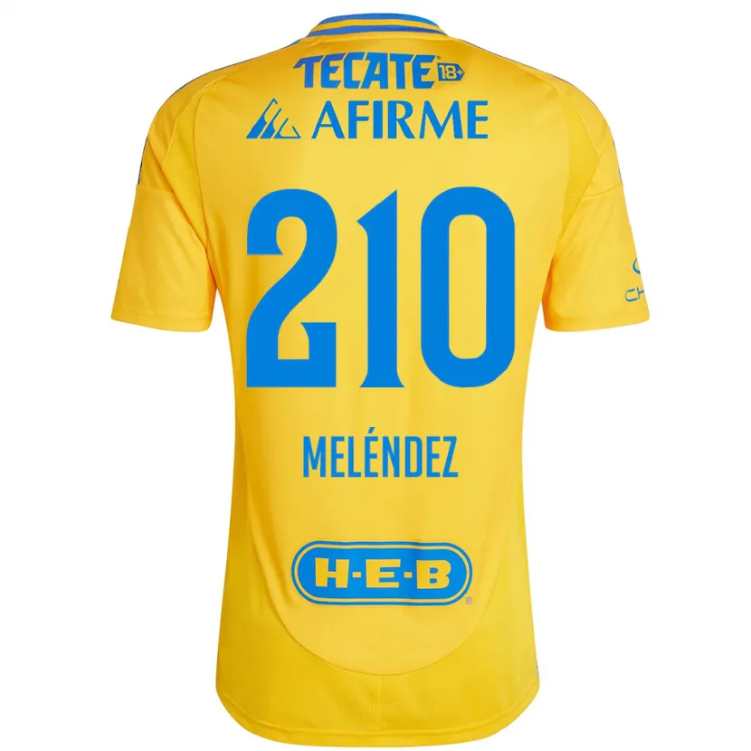 Danxen Damen Marcelo Meléndez #210 Goldgelb Heimtrikot Trikot 2024/25 T-Shirt Österreich